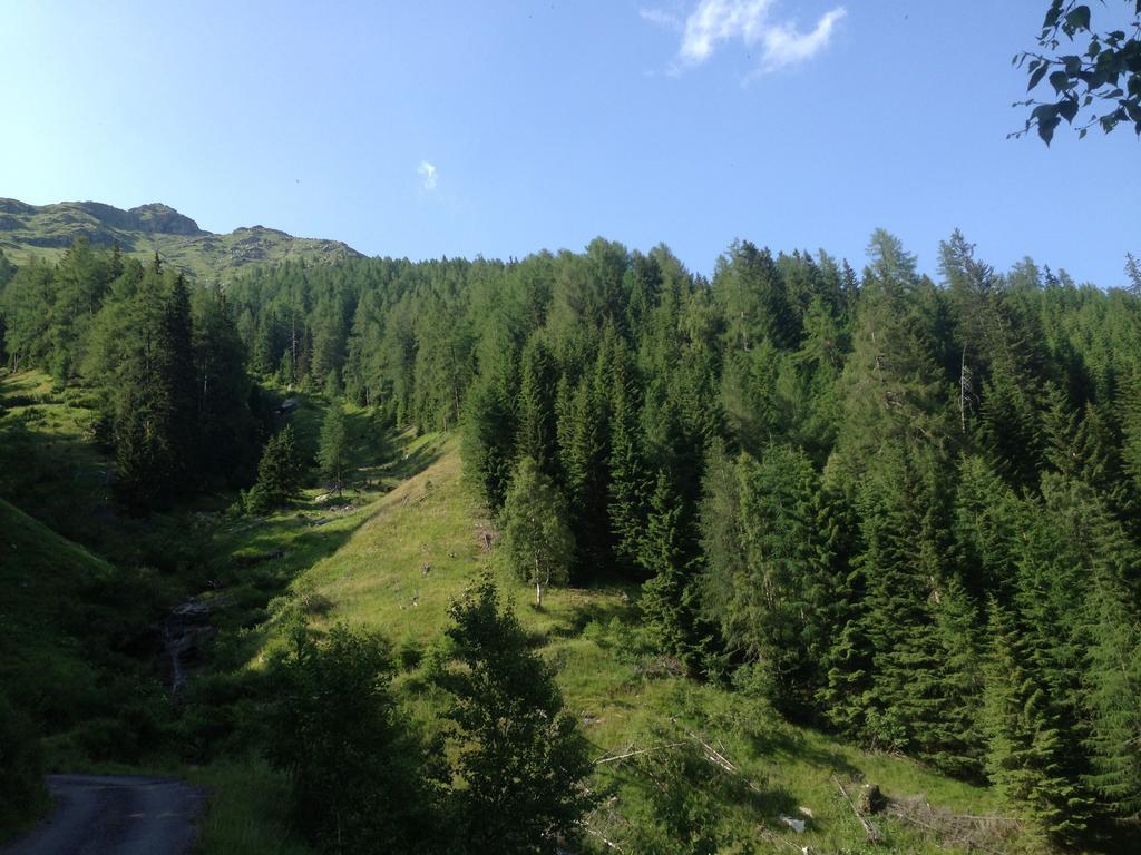 Alpenhotel Badmeister Flattach Dış mekan fotoğraf